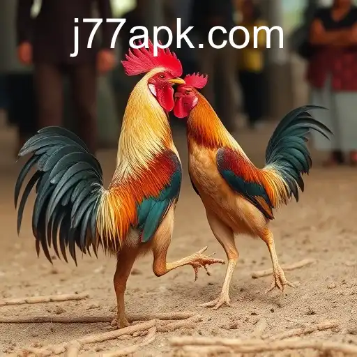 The Intriguing World of Sabong Games and the Mystique of J77